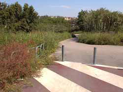 Pista Ciclabile n2