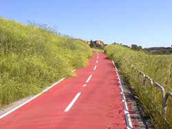 Pista Ciclabile n2