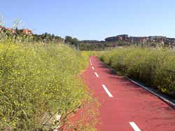 Pista Ciclabile n2