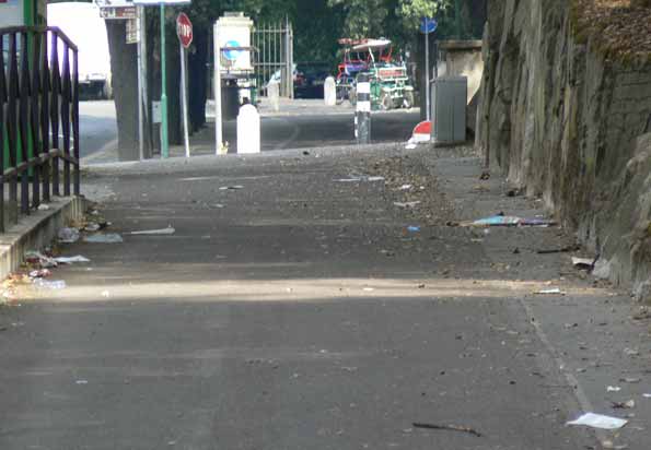 P1000355.jpg